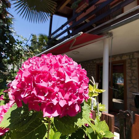 Apartment Paulina Cres Exterior photo